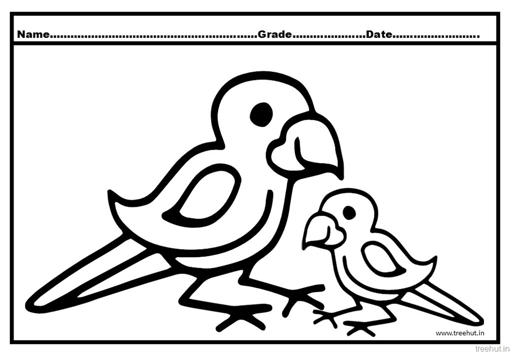 1024x709 Parrot Coloring Pages