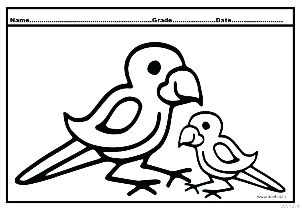1024x709 Parrot Coloring Sheet Food Coloring Pages To Print Coloring Pages