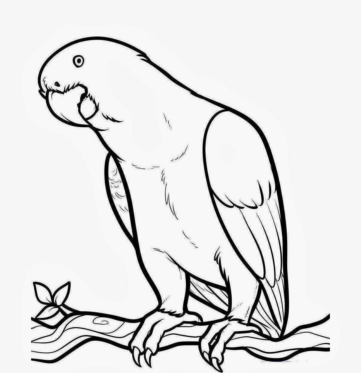 1208x1246 Reward Cute Parrot Coloring Pages Free Printable For Kids