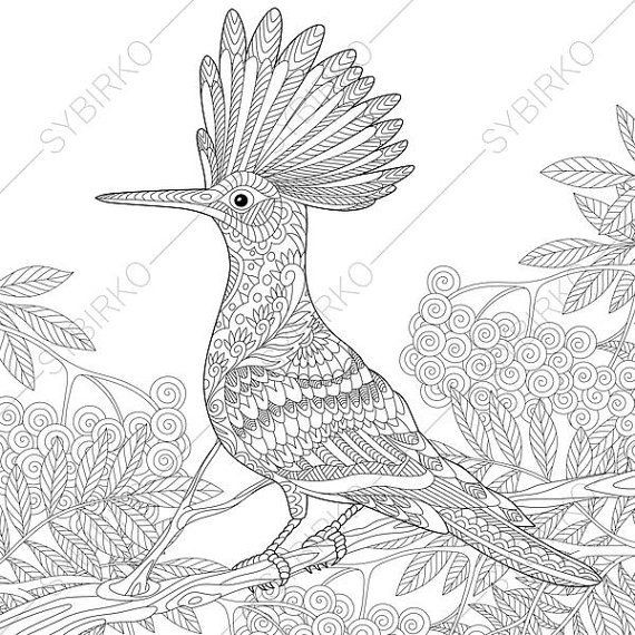 570x570 Parrot Coloring Pages Free Coloring Pages