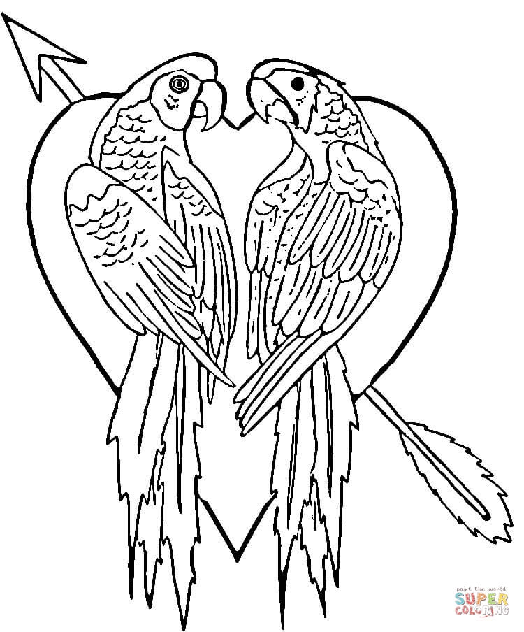 750x904 Parrot Coloring Page Parrots Coloring Pages Free Coloring Pages