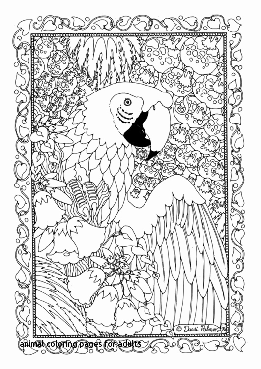 531x750 Animal Coloring Pages For Adults Parrot Coloring Pages