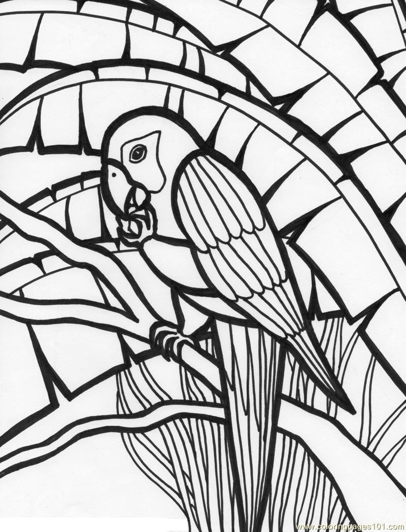 800x1049 Guaranteed Parrot Colouring Pages Coloring Page Free Parrots
