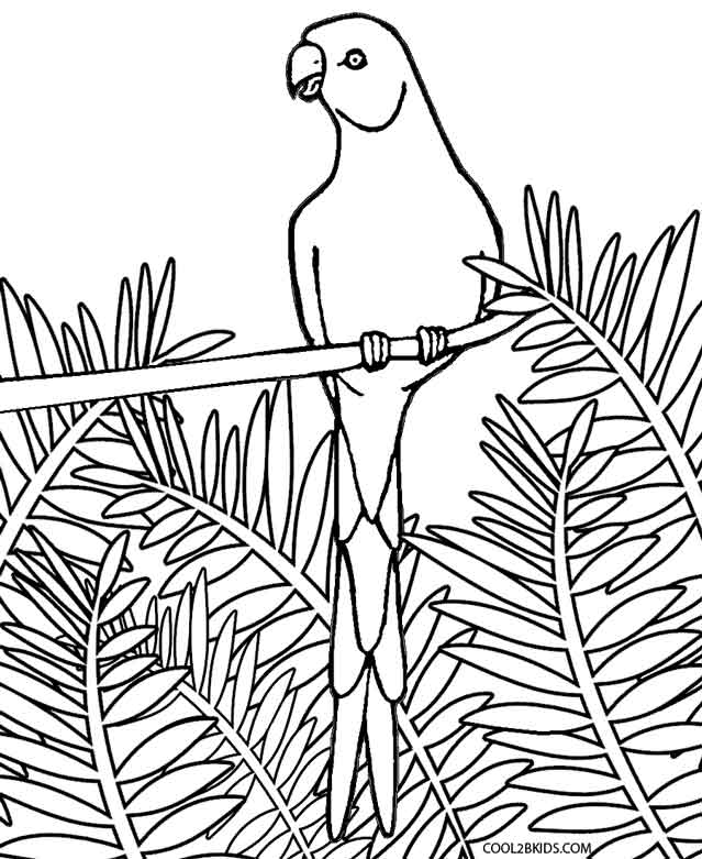 639x781 Printable Parrot Coloring Pages For Kids