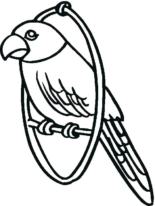 Parrot Coloring Pages Printable at GetDrawings | Free download