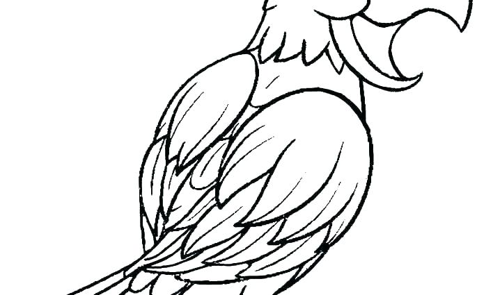 685x425 Parrot Printable