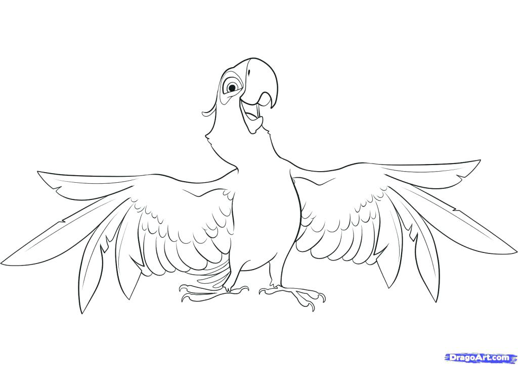 1024x723 Parrot Fish Coloring Page Pages Parrots On Brunch Birds Free