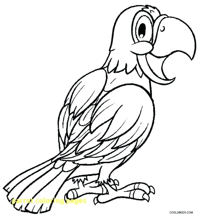 685x750 Parrots Coloring Pages Coloring Pages Of Parrots Parrot Coloring