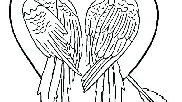585x329 Parrots Coloring Pages Colouring Pages Ots Ot Picture To Color