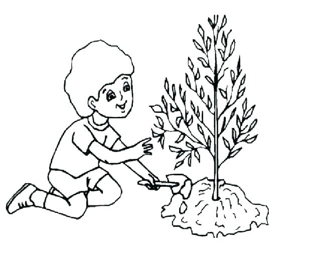 618x522 Parts Of A Flower Coloring Page Cell Coloring Page Earth Day