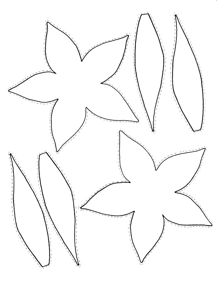 700x906 Parts A Plant Coloring Page This Is A Page Printable Parts