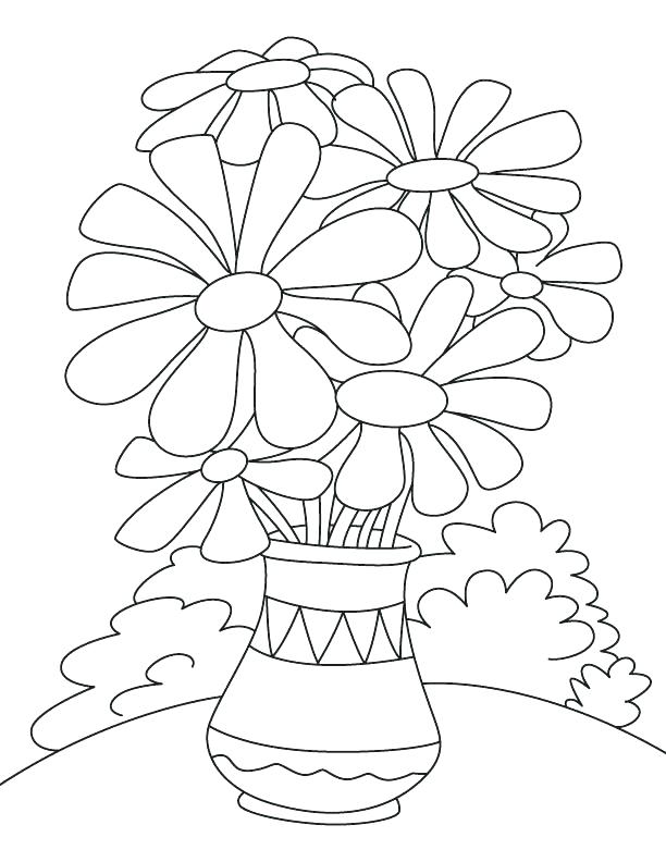 612x792 Parts Of The Plant You Can Eat Coloring Page In The Download This
