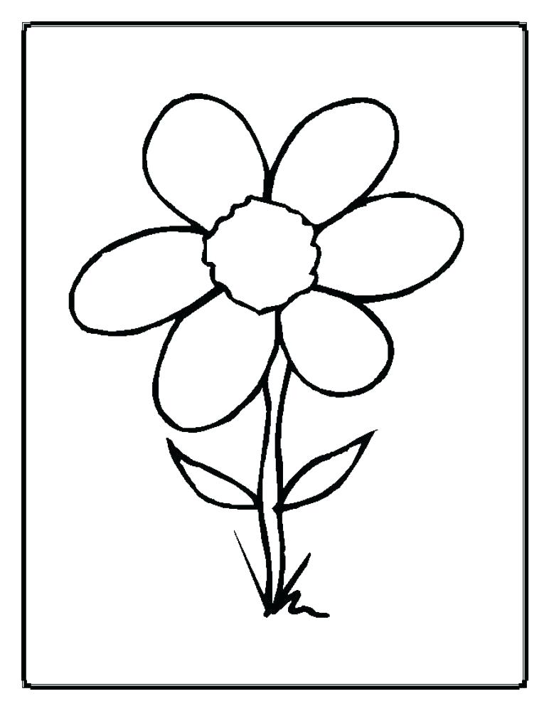 772x999 Plant Coloring Pages Drawn Jungle Plants Coloring Sheet Free Plant