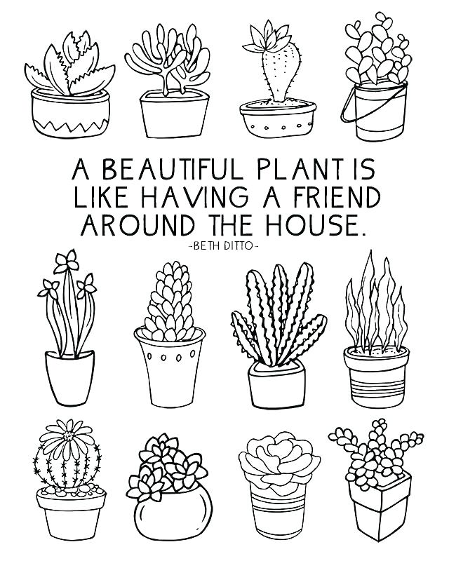 640x800 Plant Coloring Pages Plant Cell Parts Coloring Page Plants Pages
