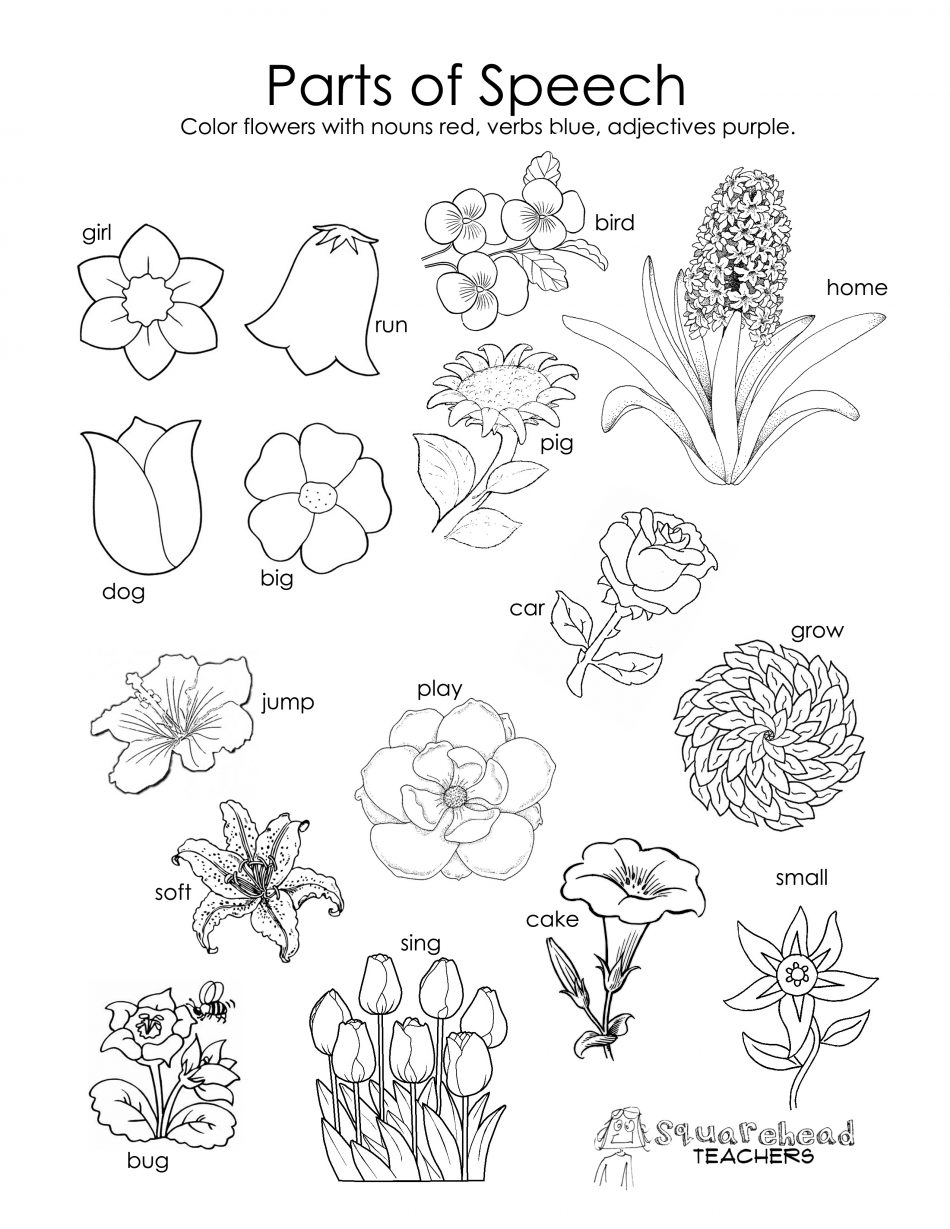 950x1229 Kindergarten Parts Of A Flower Worksheet Kindergarten Beautiful