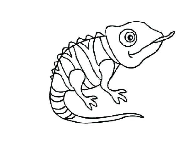 600x535 Chameleon Coloring Pages Chameleon Coloring Pages Pascal
