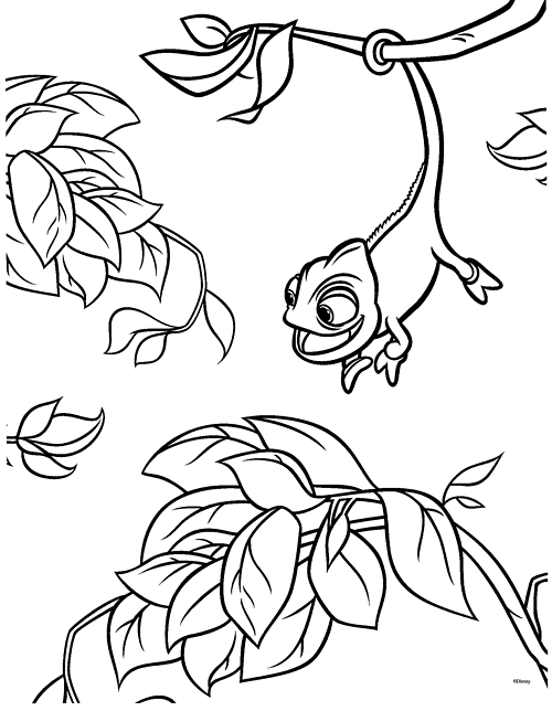 500x644 Tangled Pascal Coloring Pages
