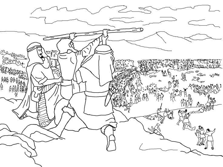 736x552 Passover Coloring Pages Free Printable Lovely Israelites Battle