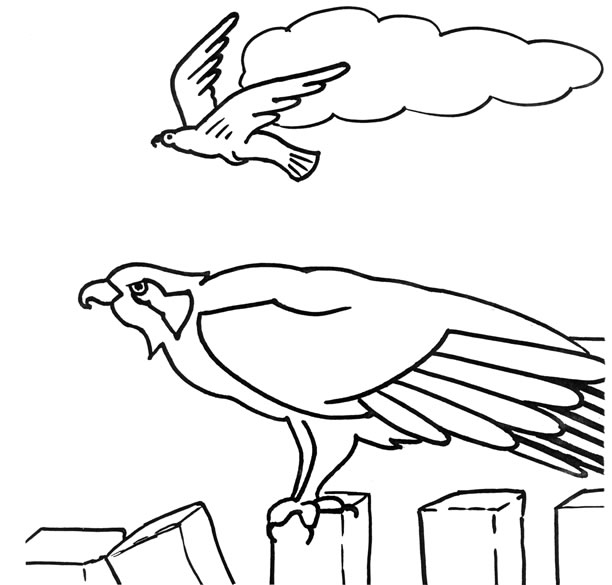 612x585 Passport Coloring Page Printable Template Kids With Plans