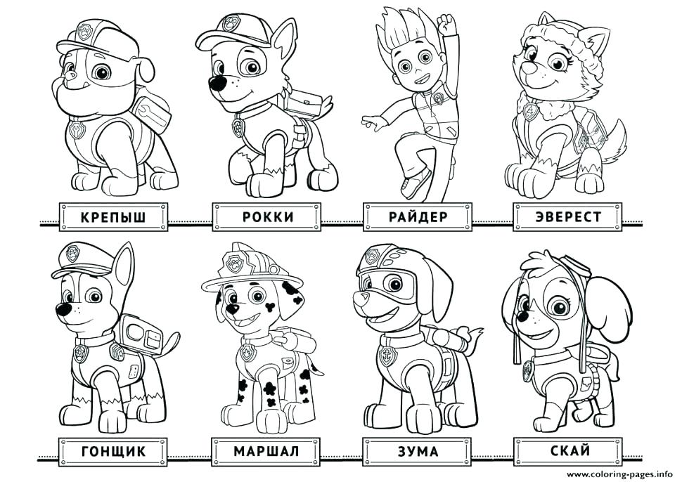 970x686 Paw Patrol Badge Printable