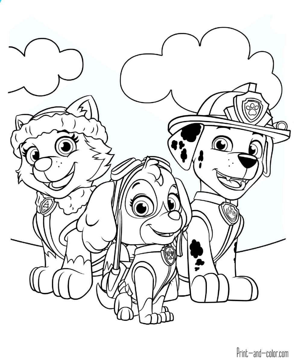 975x1200 Paw Patrol Coloring Pages Print