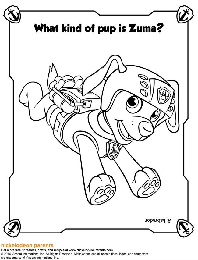 650x853 Paw Patrol Activity Sheets And Colouring Game On!