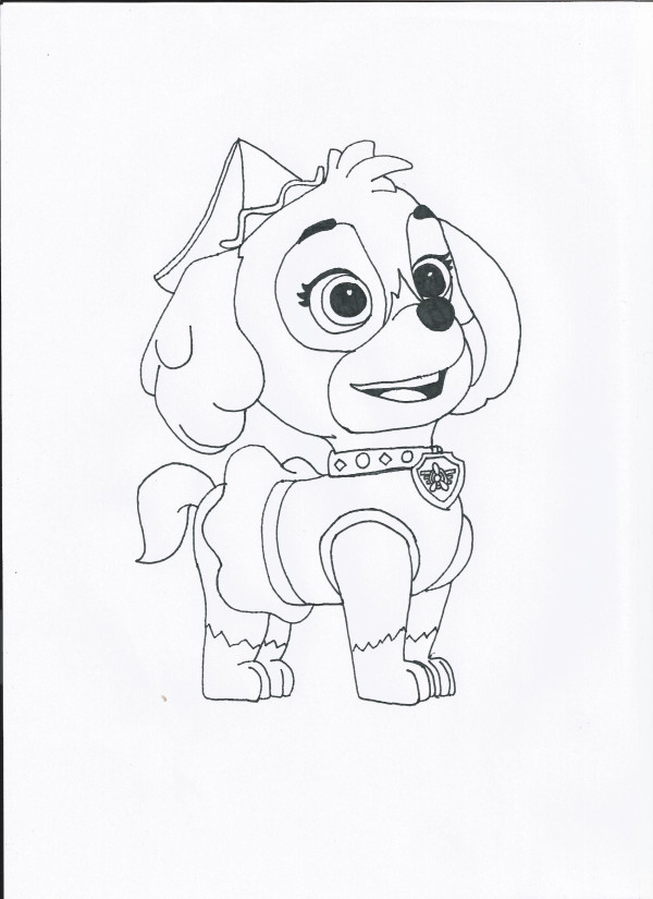 600x825 Paw Patrol Halloween Skye