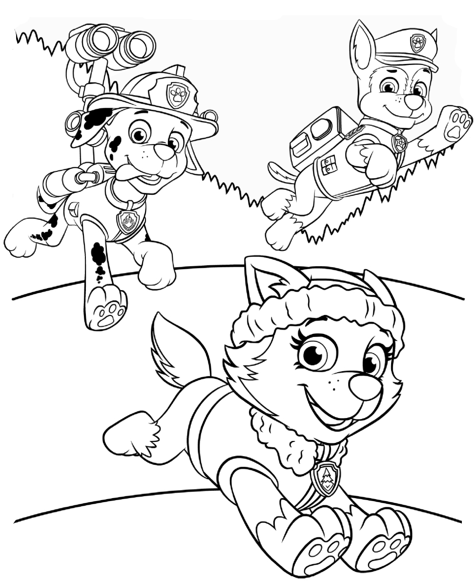 975x1200 Coloring Pages Paw Patrol Elegant Paw Patrol Coloring Pages