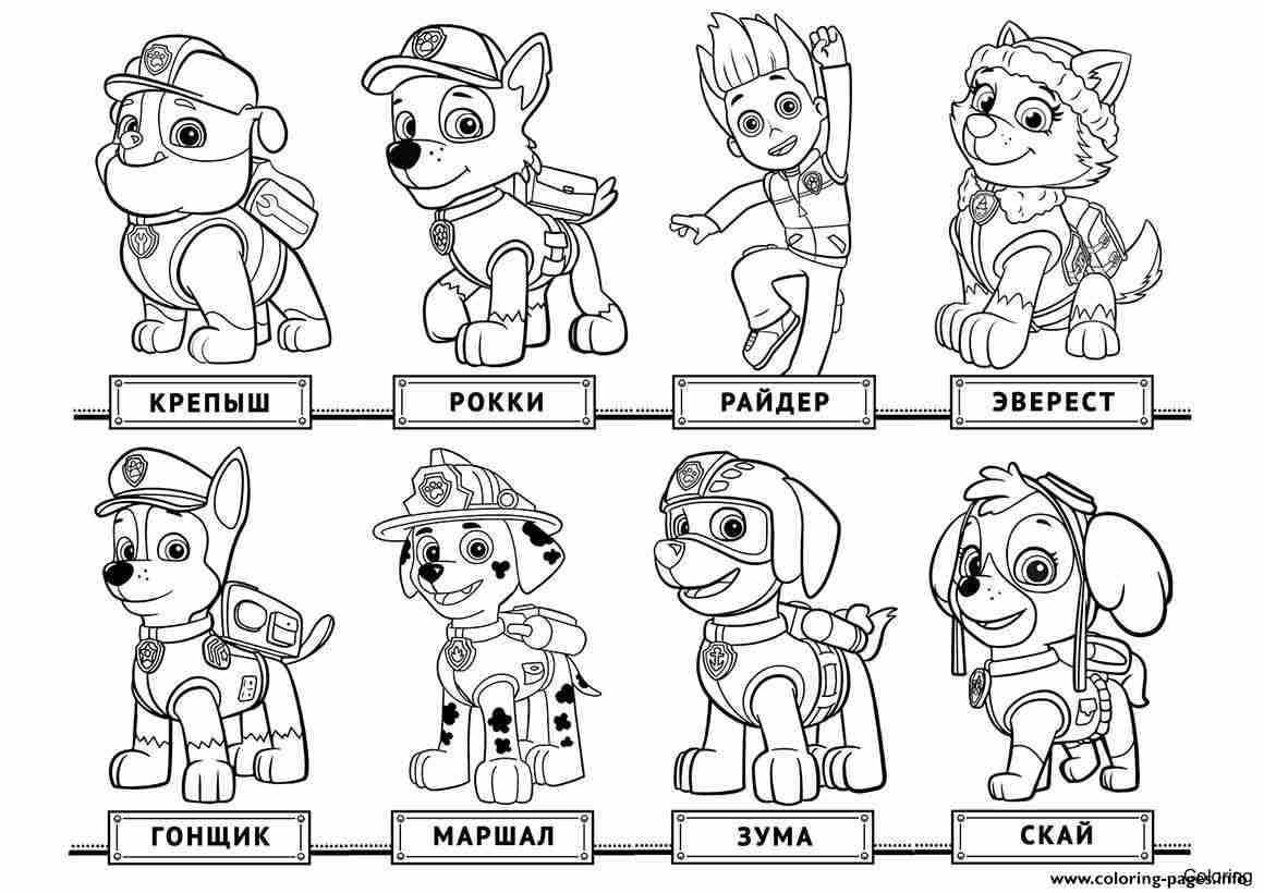 1160x820 Paw Patrol Coloring Pages Dotcon Me Best Cartoon Character Free