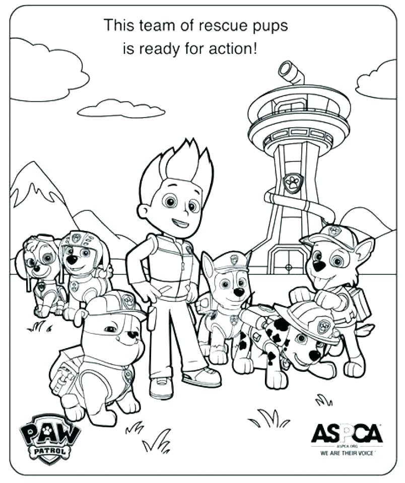 804x960 Free Paw Patrol Coloring Pages Free Paw Patrol Printable Coloring