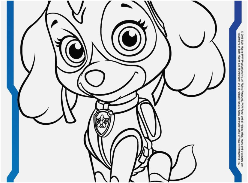 paw patrol coloring pages sky at getdrawings  free download