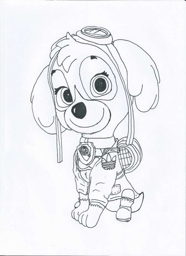 640x880 Paw Patrol Skye Sport Outfit