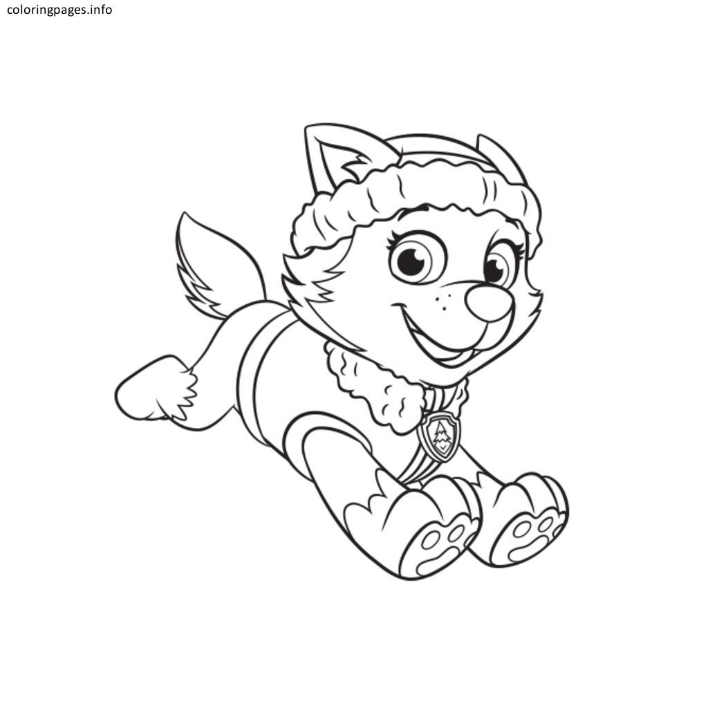 1024x1024 Sky Everest Patrol Free Coloring Page Animals Kids Paw Lovely