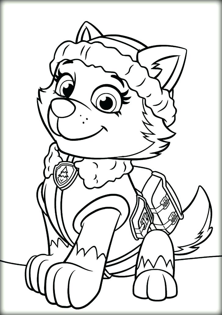 728x1033 Skye Paw Patrol Coloring Sheets Pages With Wallpapers Full