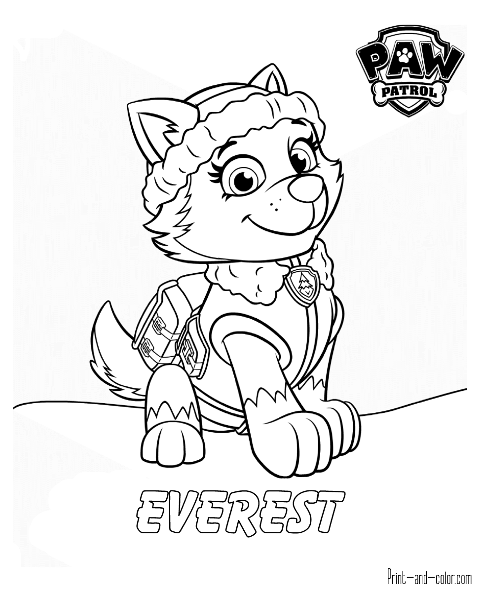 975x1200 Paw Patrol Coloring Pages Print