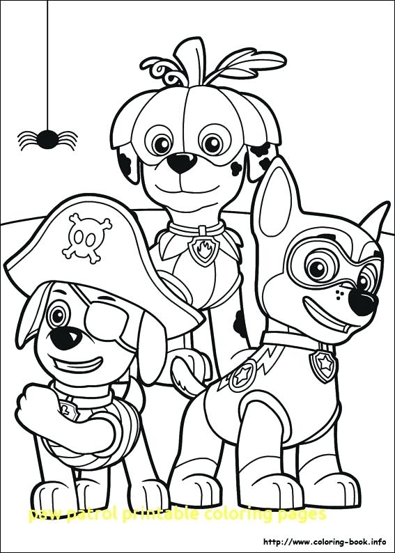 567x794 Paw Patrol Pictures To Color Also Paw Patrol Printable Coloring