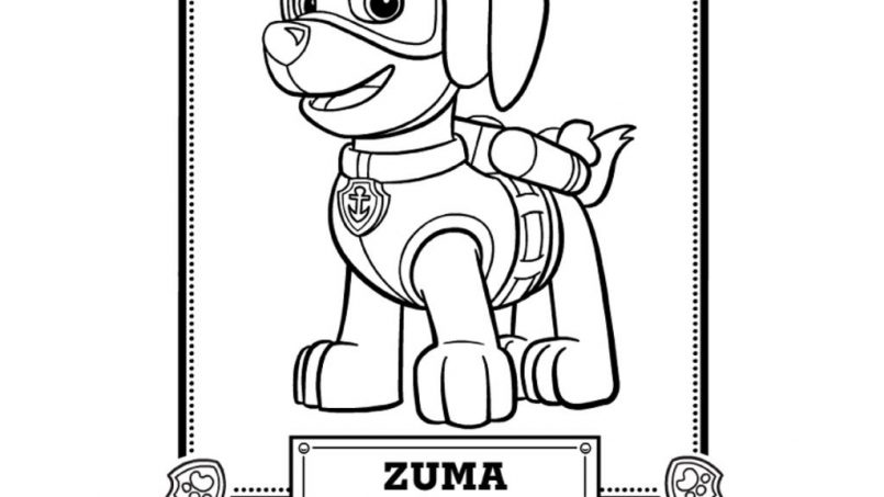 805x453 Coloring Printable Paw Patrol Christmas Coloring Pages Together