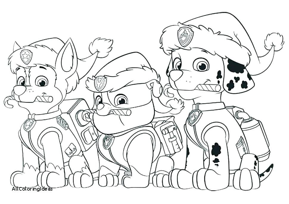 970x686 Paw Patrol Free Coloring Pages Printable Paw Patrol Printable