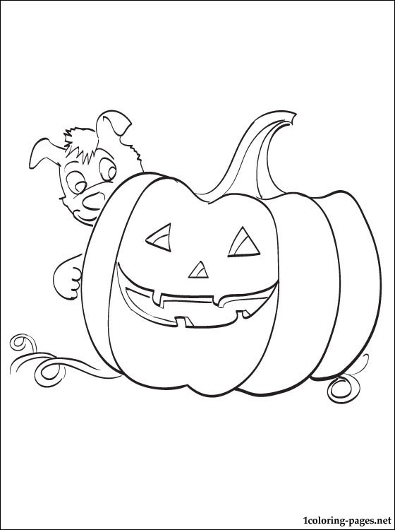 560x750 A Big Pumpkin With A Puppy Coloring Page For Halloween