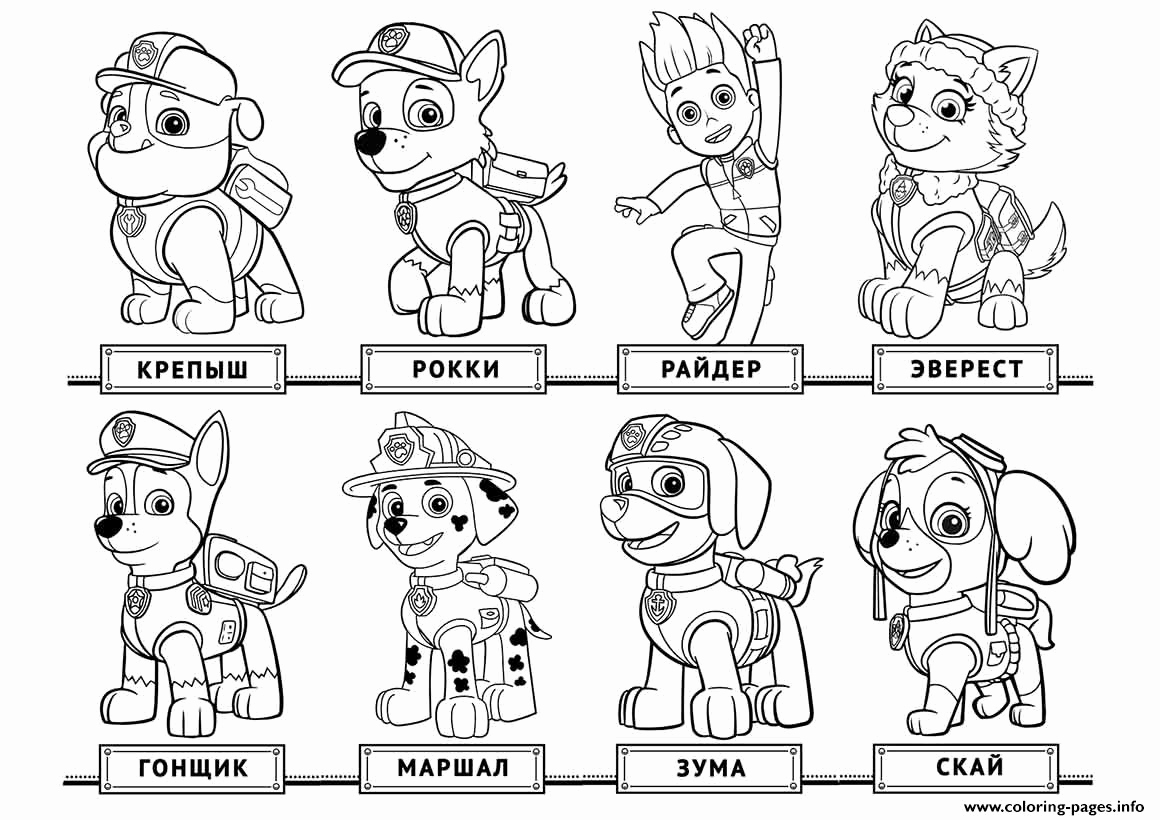 1160x820 Paw Patrol Printable Coloring Pages Photograph Paw Patrol Coloring