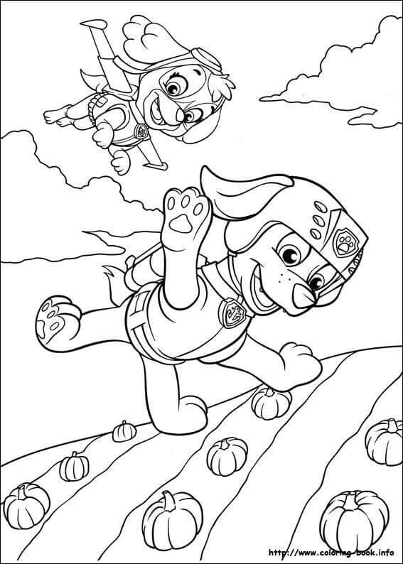 567x794 Colouring Page Thema Paw Patrol Paw Patrol, Adult