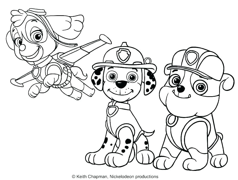 934x709 Paw Print Coloring Pages Dog Paw Drawing Cat Paw Illustration