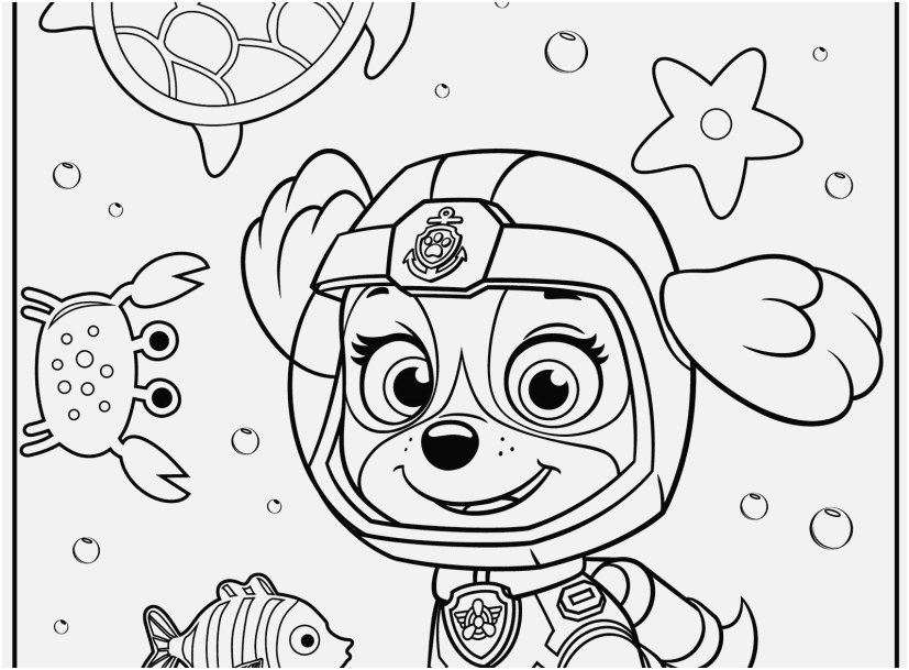 827x609 Library Coloring Pages Pictures Paw Patrol Vehicles Coloring Pages