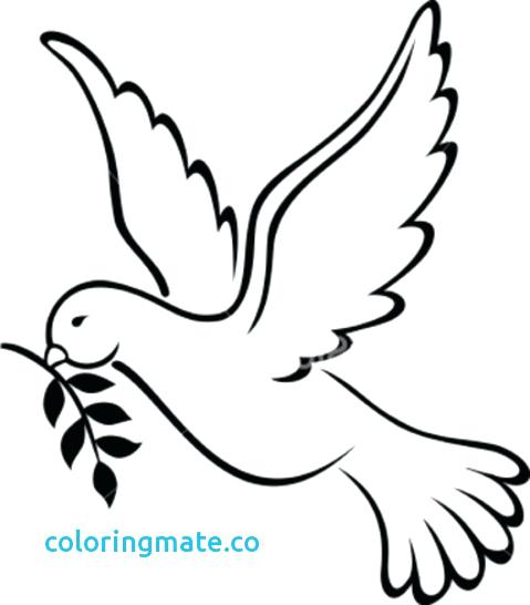 479x546 Dove Coloring Pages Peace Coloring Pages Coloring Kids Of Dove