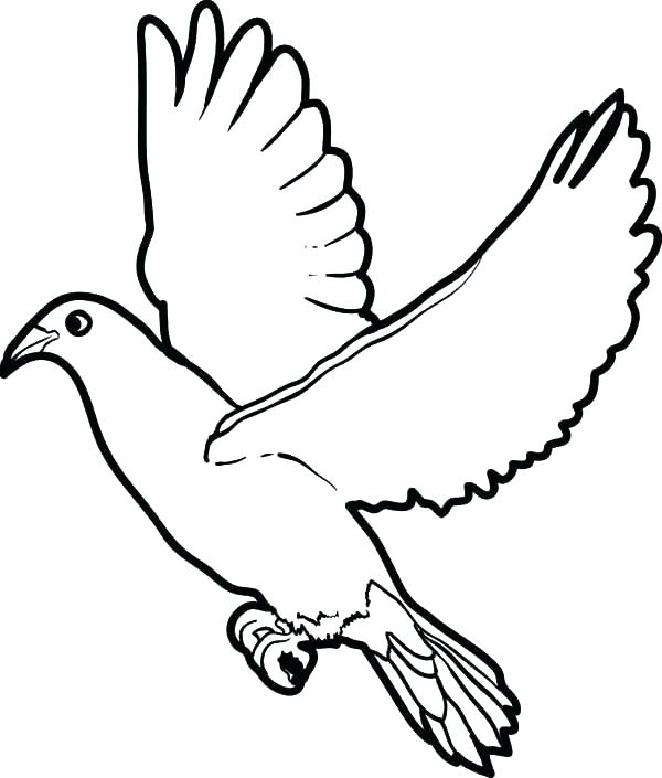600x705 Dove Coloring Pages Wing Coloring Pages Big Dove Coloring Page