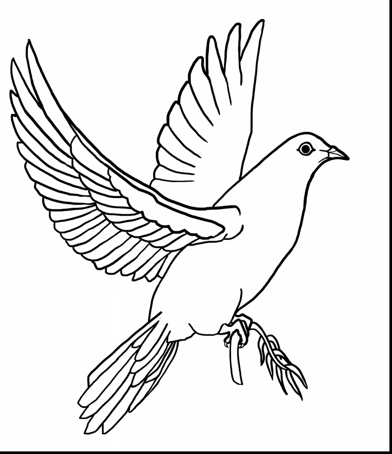 1520x1760 Coloring Pages Of Doves