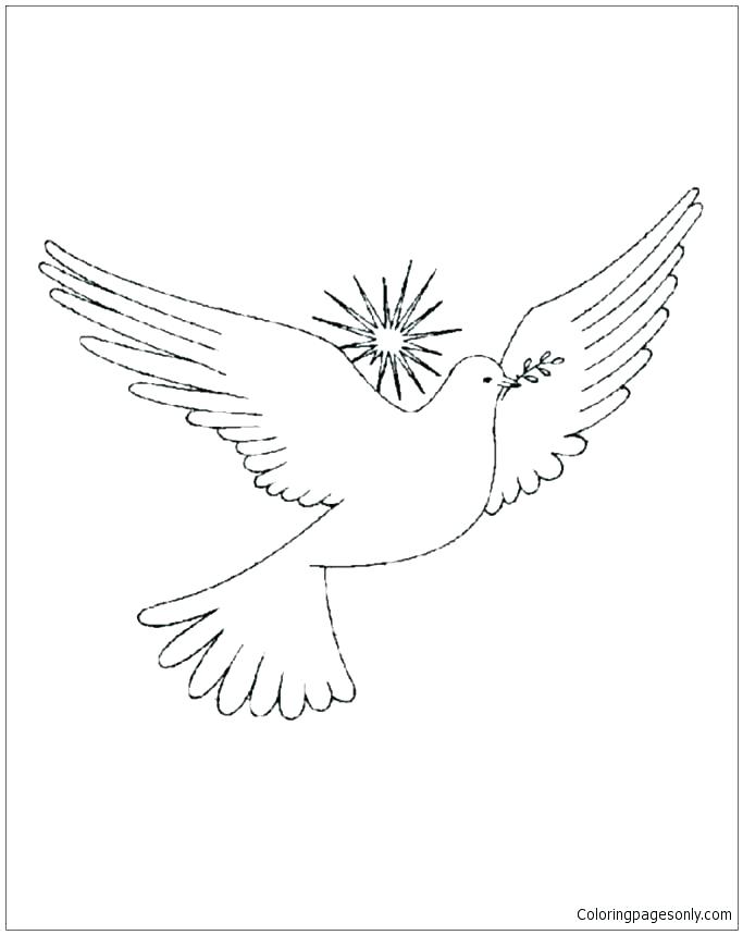 683x859 Dove Coloring Pages