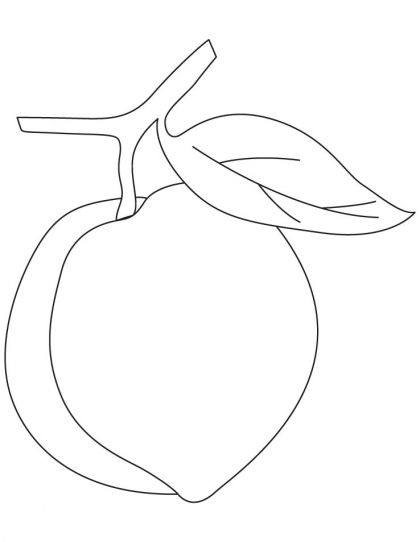 420x542 Peach Coloring Page Download Free Peach Coloring Page For Kids