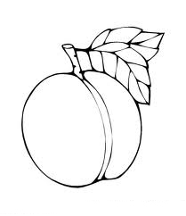 209x242 Peaches Coloring Pages Picture Color Udin