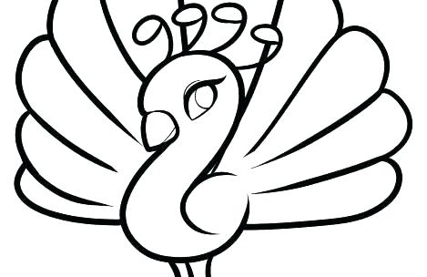 469x304 Peacock Color Pages For Peacock Coloring Page Peacock Color